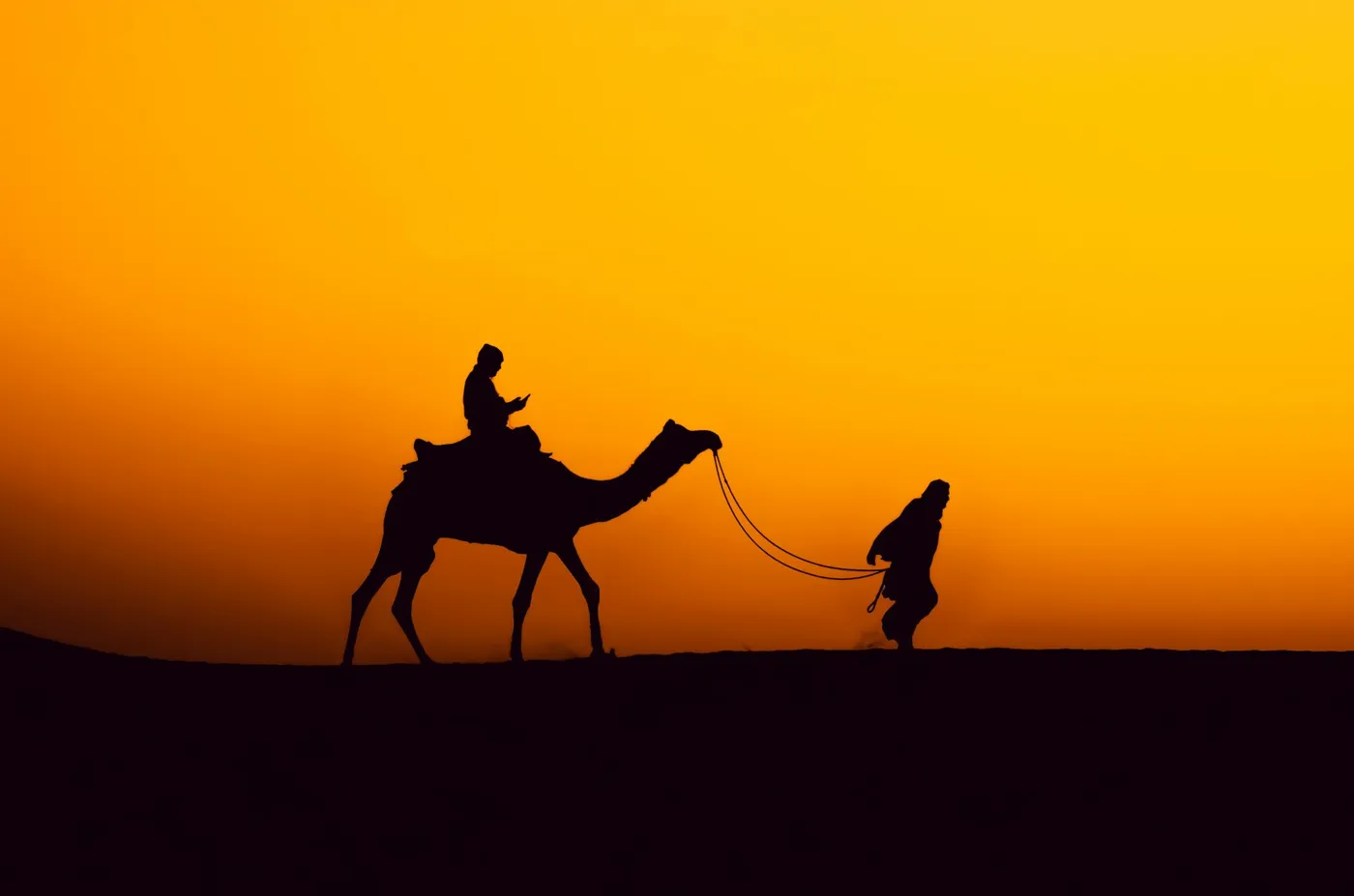 Jaisalmer desert sunset with camel